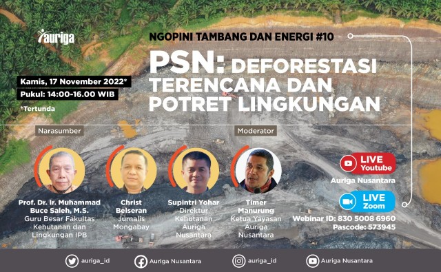 PSN: Deforestasi Terencana dan Potret Lingkungan